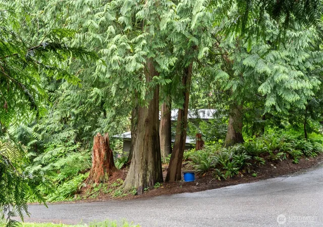 Photo 4 of Land for sale at 0 Sumerset Way, Sedro Woolley, WA 98284 | MLS# NWM2536873 | Listing updated on 2026-09-21