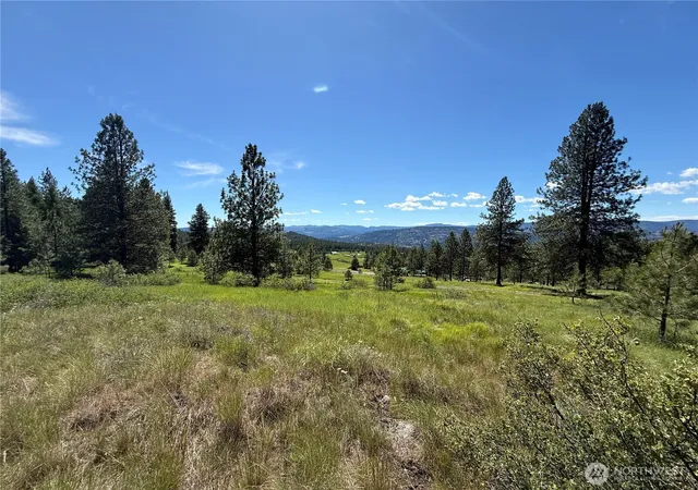 Photo 3 of Land for sale at 5 Hidden Spring Ranch Rd, Republic, WA 99166 | MLS# NWM2537231 | Listing updated on 2026-10-01