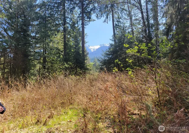 Photo 2 of Land for sale at 0 Xxx Mtn Loop Hwy, Granite Falls, WA 98252 | MLS# NWM2537284 | Listing updated on 2026-09-22