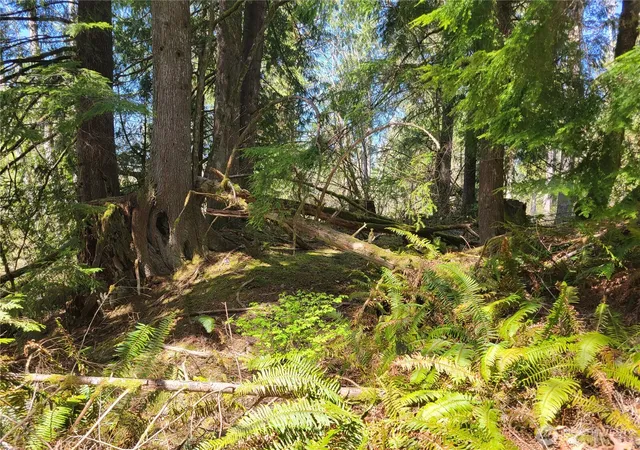 Photo 3 of Land for sale at 0 Xxx Mtn Loop Hwy, Granite Falls, WA 98252 | MLS# NWM2537284 | Listing updated on 2026-09-22
