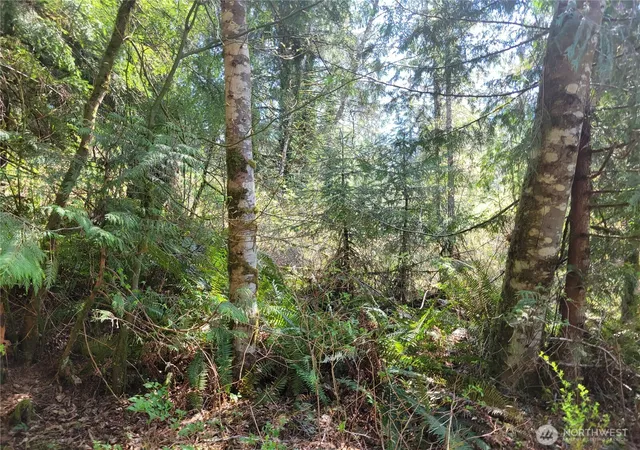 Photo 3 of Land for sale at 0 Xxx Mtn Loop Hwy, Granite Falls, WA 98252 | MLS# NWM2537284 | Listing updated on 2026-09-22