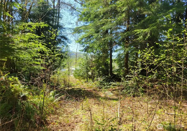 Photo 4 of Land for sale at 0 Xxx Mtn Loop Hwy, Granite Falls, WA 98252 | MLS# NWM2537284 | Listing updated on 2026-09-22
