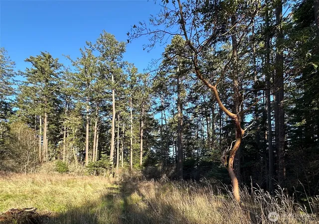 Photo 3 of Land for sale at 206 Island Dr, Friday Harbor, WA 98250 | MLS# NWM2537493 | Listing updated on 2026-09-22