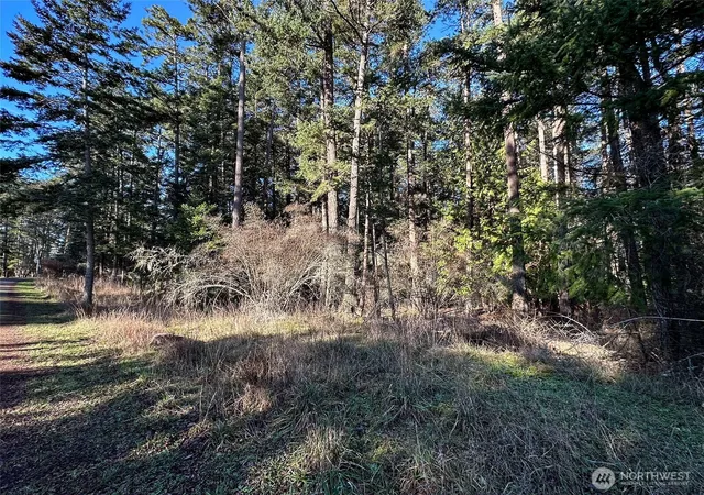 Photo 3 of Land for sale at 206 Island Dr, Friday Harbor, WA 98250 | MLS# NWM2537493 | Listing updated on 2026-09-22