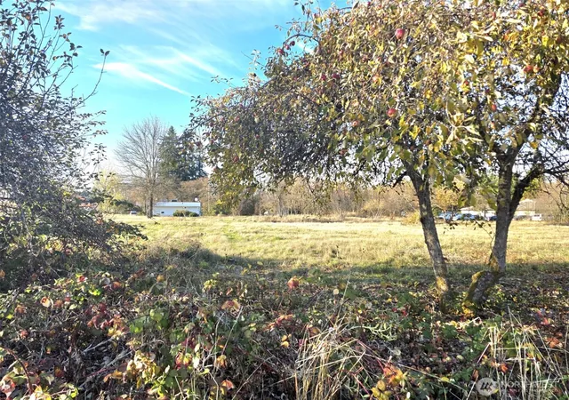 Photo 3 of Land for sale at 606 Yelm Ave W, Yelm, WA 98597 | MLS# NWM2537494 | Listing updated on 2026-09-22