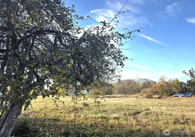 Photo 3 of Land for sale at 606 Yelm Ave W, Yelm, WA 98597 | MLS# NWM2537494 | Listing updated on 2026-09-22