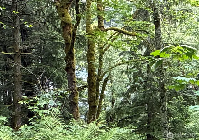 Photo 1 of Land for sale at 376 E Xx Lake Walker Dr Se, Enumclaw, WA 98022 | MLS# NWM2537515 | Listing updated on 2026-09-22