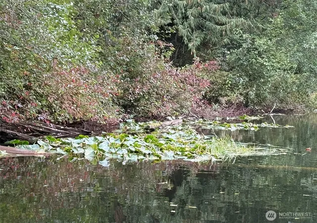 Photo 1 of Land for sale at 376 E Xx Lake Walker Dr Se #B, Enumclaw, WA 98022 | MLS# NWM2537515 | Listing updated on 2026-10-10