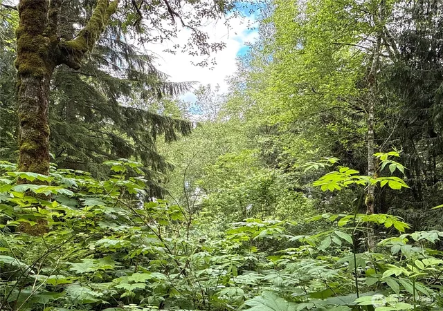 Photo 3 of Land for sale at 376 E Xx Lake Walker Dr Se, Enumclaw, WA 98022 | MLS# NWM2537515 | Listing updated on 2026-09-22