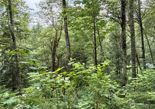 Photo 3 of Land for sale at 376 E Xx Lake Walker Dr SE, Enumclaw, WA 98022 | MLS# NWM2537515 | Listing updated on 2026-09-22