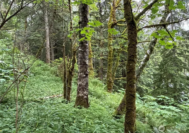 Photo 4 of Land for sale at 376 E Xx Lake Walker Dr SE, Enumclaw, WA 98022 | MLS# NWM2537515 | Listing updated on 2026-09-22