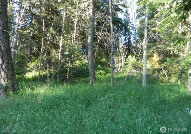 Photo 1 of Land for sale at 0 Tbd Lake View Dr, Oroville, WA 98844 | MLS# NWM2537645 | Listing updated on 2026-09-22