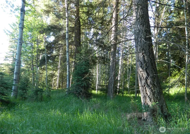 Photo 2 of Land for sale at 0 Tbd Lake View Dr, Oroville, WA 98844 | MLS# NWM2537645 | Listing updated on 2026-09-22