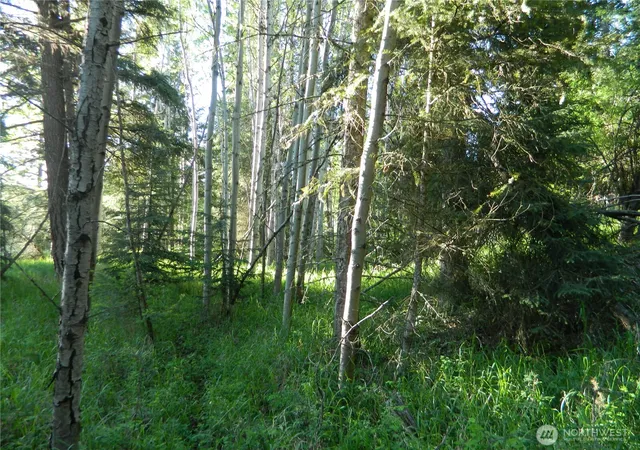 Photo 3 of Land for sale at 0 Tbd Lake View Dr, Oroville, WA 98844 | MLS# NWM2537645 | Listing updated on 2026-09-22