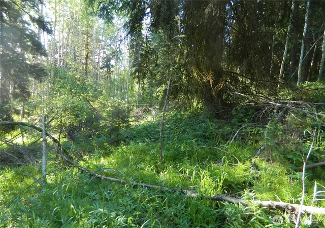 Photo 3 of Land for sale at 0 Tbd Lake View Dr, Oroville, WA 98844 | MLS# NWM2537645 | Listing updated on 2026-09-22