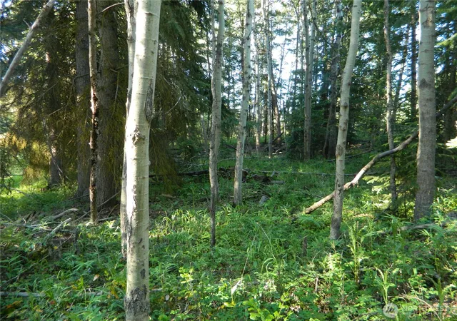 Photo 4 of Land for sale at 0 Tbd Lake View Dr, Oroville, WA 98844 | MLS# NWM2537645 | Listing updated on 2026-09-22