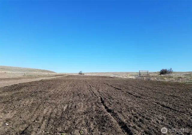 Photo 3 of Land for sale at 24400 Lot A Seven Springs Dairy Rd, Davenport, WA 99122 | MLS# NWM2537865 | Listing updated on 2026-09-22
