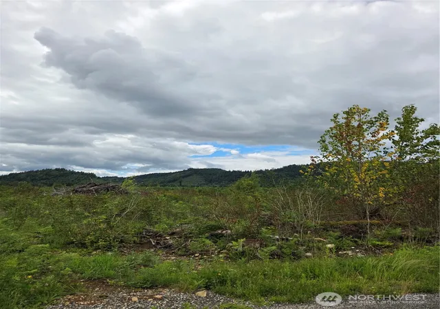 Photo 3 of Land for sale at 9242 Heady Rd, Sumas, WA 98295 | MLS# NWM2538203 | Listing updated on 2026-09-22