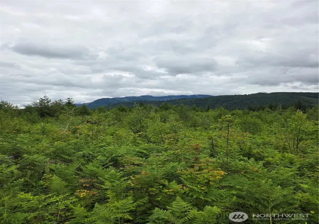 Photo 4 of Land for sale at 9242 Heady Rd, Sumas, WA 98295 | MLS# NWM2538203 | Listing updated on 2026-09-22