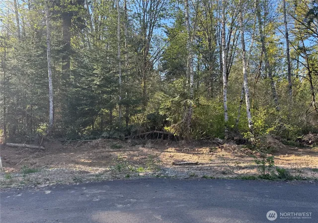 Photo 4 of Land for sale at 4814 93rd Avenue SE, Olympia, WA 98501 | MLS# NWM2538260 | Listing updated on 2026-09-22