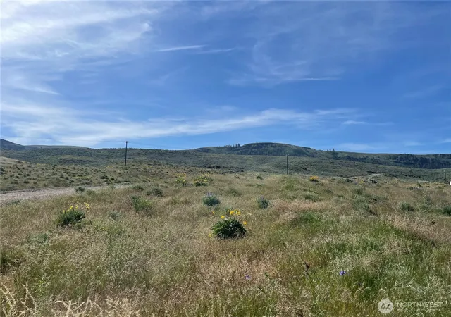 Photo 4 of Land for sale at 4 Xxx Hwy 174, Grand Coulee, WA 99133 | MLS# NWM2538338 | Listing updated on 2026-09-22