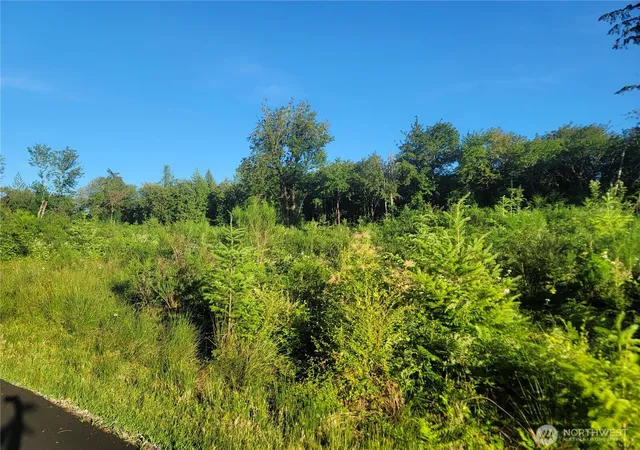 Photo 2 of Land for sale at 4 Lot 9th St Sw, Lakebay, WA 98349 | MLS# NWM2538464 | Listing updated on 2026-09-22