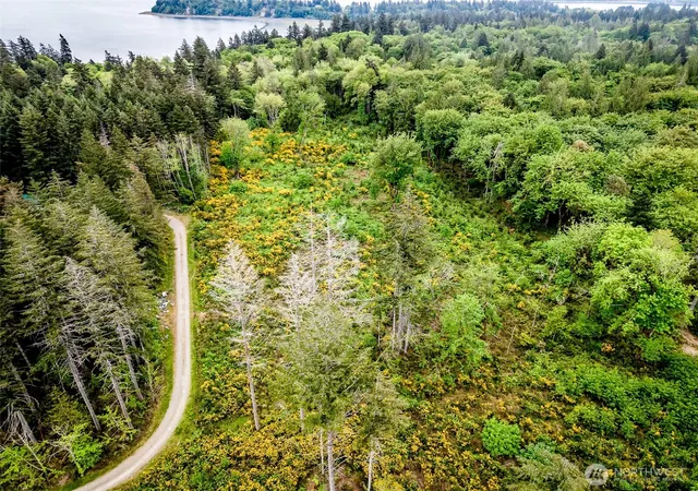 Photo 3 of Land for sale at 4 Lot 9th St SW, Lakebay, WA 98349 | MLS# NWM2538464 | Listing updated on 2026-09-22