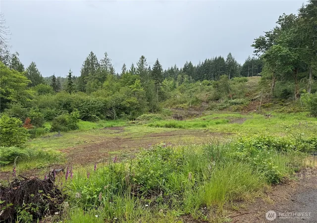 Photo 2 of Land for sale at 8143 Todderjen Ln Sw, Olympia, WA 98512 | MLS# NWM2538475 | Listing updated on 2026-09-22