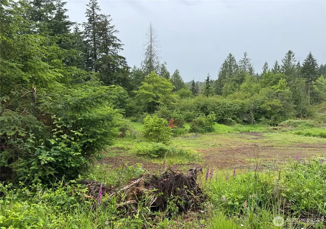 Photo 3 of Land for sale at 8143 Todderjen Ln Sw, Olympia, WA 98512 | MLS# NWM2538475 | Listing updated on 2026-09-22