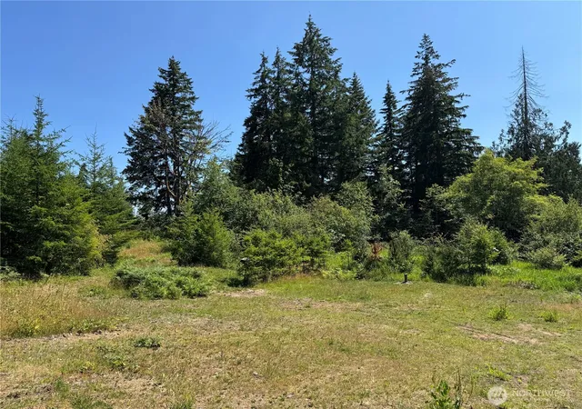 Photo 3 of Land for sale at 8143 Todderjen Ln SW, Olympia, WA 98512 | MLS# NWM2538475 | Listing updated on 2026-09-22