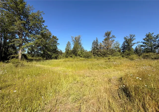 Photo 1 of Land for sale at 10252 400th Street E, Eatonville, WA 98328 | MLS# NWM2538632 | Listing updated on 2026-09-22