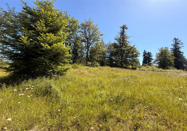 Photo 3 of Land for sale at 10252 400th Street E, Eatonville, WA 98328 | MLS# NWM2538632 | Listing updated on 2026-09-22