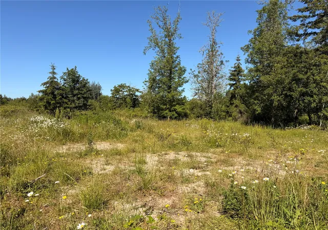 Photo 3 of Land for sale at 10252 400th Street E, Eatonville, WA 98328 | MLS# NWM2538632 | Listing updated on 2026-09-22