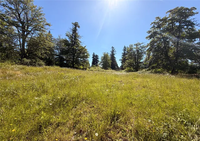 Photo 4 of Land for sale at 10252 400th Street E, Eatonville, WA 98328 | MLS# NWM2538632 | Listing updated on 2026-09-22