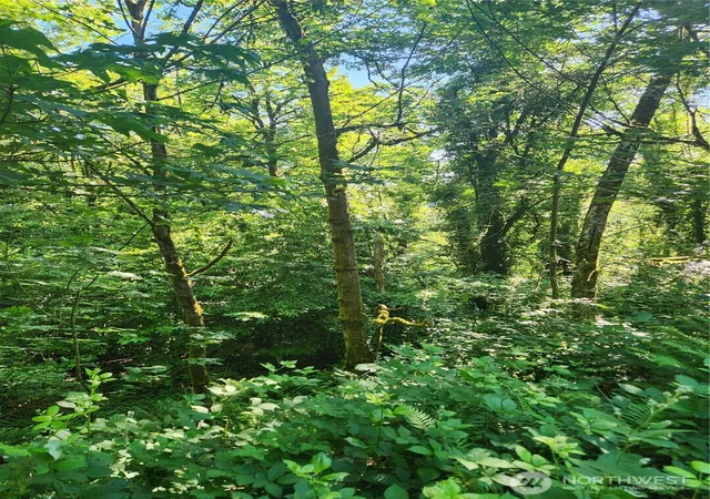 Photo 3 of Land for sale at 0 Morgan Rd Nw, Bremerton, WA 98312 | MLS# NWM2538705 | Listing updated on 2026-09-22