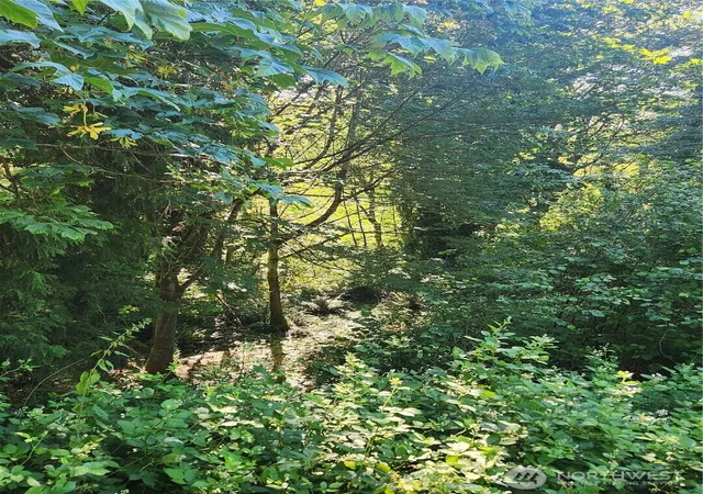 Photo 3 of Land for sale at 0 Morgan Rd NW, Bremerton, WA 98312 | MLS# NWM2538705 | Listing updated on 2026-09-22