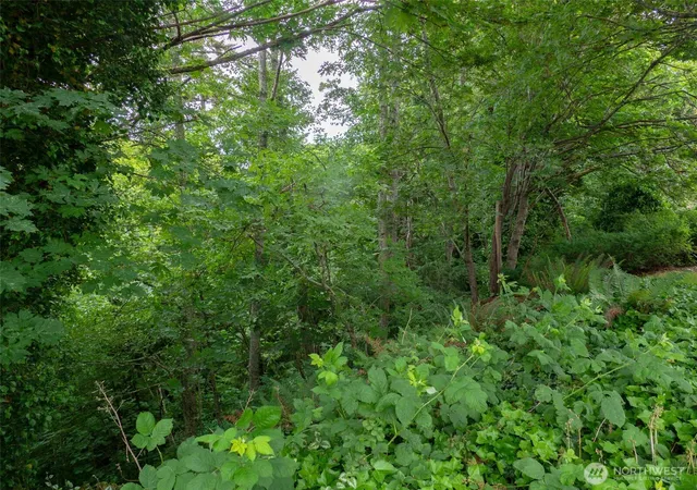 Photo 2 of Land for sale at 0 W Lot 14 12th St, Port Angeles, WA 98362 | MLS# NWM2538806 | Listing updated on 2026-09-22