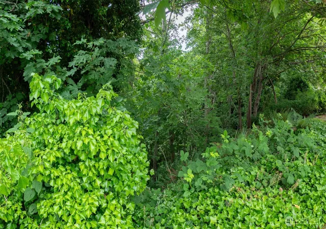 Photo 3 of Land for sale at 0 W Lot 14 12th St, Port Angeles, WA 98362 | MLS# NWM2538806 | Listing updated on 2026-09-22