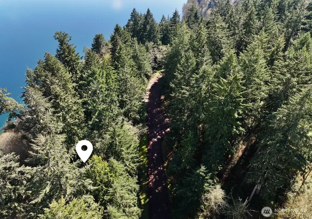 Photo 4 of Land for sale at 10111 Totem Way, Anderson Island, WA 98303 | MLS# NWM2538809 | Listing updated on 2026-09-22