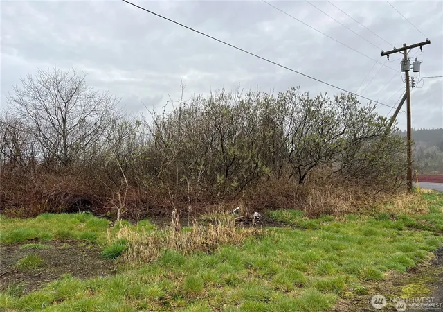 Photo 3 of Land for sale at 2361 Evergreen Park Rd, Grayland, WA 98547 | MLS# NWM2538850 | Listing updated on 2026-09-22