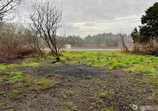 Photo 4 of Land for sale at 2361 Evergreen Park Rd, Grayland, WA 98547 | MLS# NWM2538850 | Listing updated on 2026-09-22
