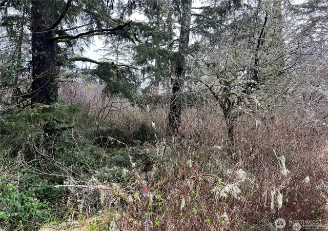 Photo 1 of Land for sale at 0 X 102nd Pl, Long Beach, WA 98631 | MLS# NWM2538859 | Listing updated on 2026-09-22