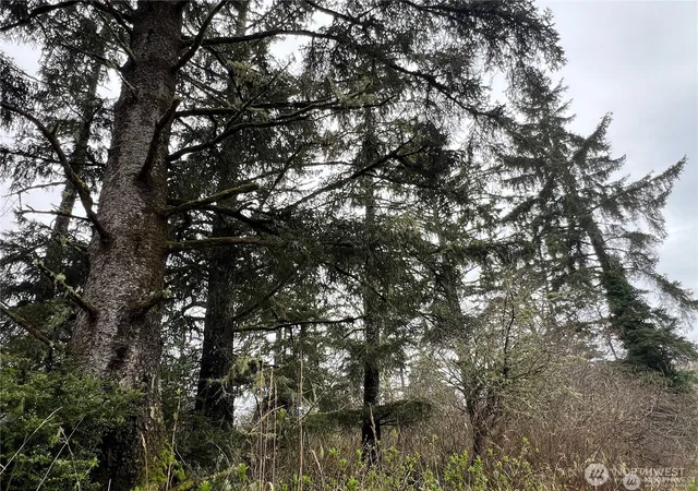 Photo 2 of Land for sale at 0 X 102nd Pl, Long Beach, WA 98631 | MLS# NWM2538859 | Listing updated on 2026-09-22