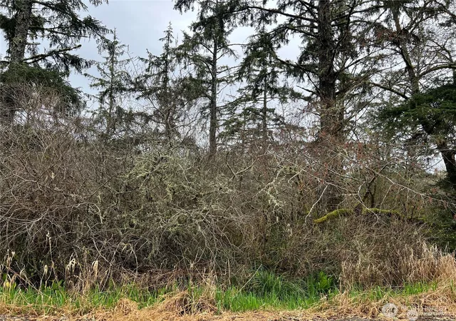 Photo 3 of Land for sale at 0 X 102nd Pl, Long Beach, WA 98631 | MLS# NWM2538859 | Listing updated on 2026-09-22