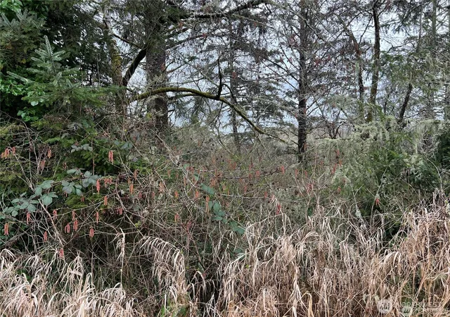 Photo 3 of Land for sale at 0 X 102nd Pl, Long Beach, WA 98631 | MLS# NWM2538859 | Listing updated on 2026-09-22