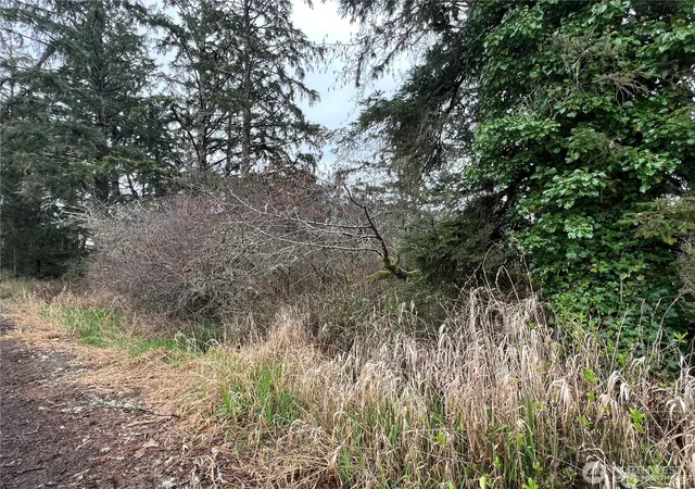 Photo 4 of Land for sale at 0 X 102nd Pl, Long Beach, WA 98631 | MLS# NWM2538859 | Listing updated on 2026-09-22