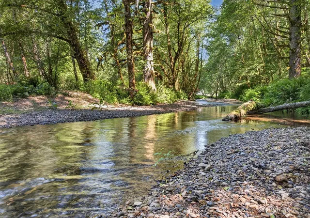 Photo 3 of Land for sale at 344 N Hull Crk Rd, Grays River, WA 98621 | MLS# NWM2538933 | Listing updated on 2026-09-22