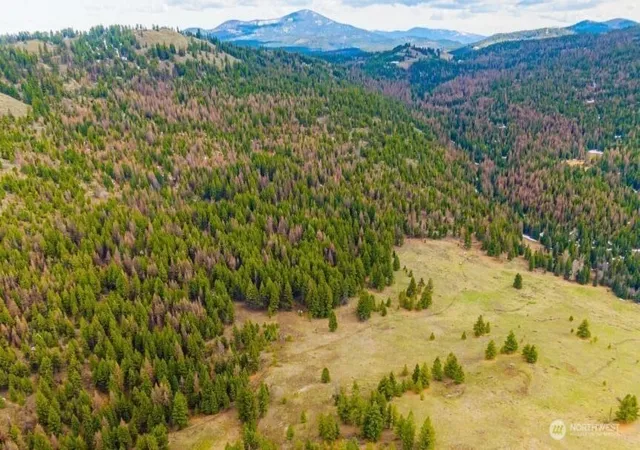 Photo 1 of Land for sale at 0 Xyz Cougar Crk Rd, Wauconda, WA 98859 | MLS# NWM2538990 | Listing updated on 2026-09-22