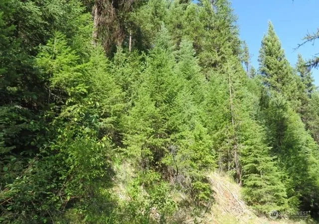 Photo 3 of Land for sale at 0 Xyz Cougar Crk Rd, Wauconda, WA 98859 | MLS# NWM2538990 | Listing updated on 2026-09-22