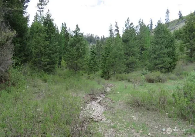 Photo 4 of Land for sale at 0 Xyz Cougar Crk Rd, Wauconda, WA 98859 | MLS# NWM2538990 | Listing updated on 2026-09-22